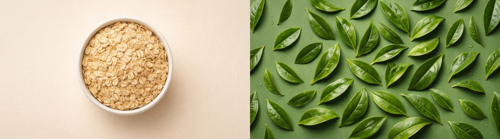 Oats and green tea leaves